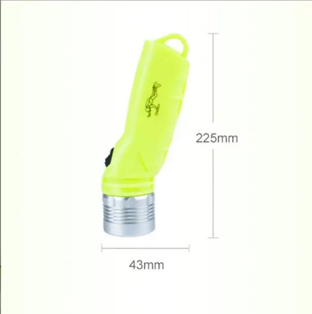 Ecomomy Dive Light - Image 4